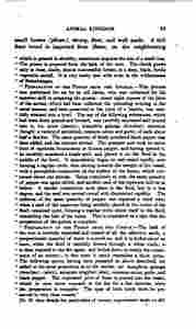 The_history_of_Java-107