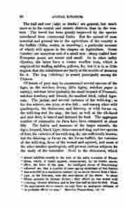 The_history_of_Java-110