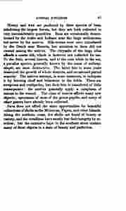 The_history_of_Java-115