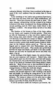 The_history_of_Java-148