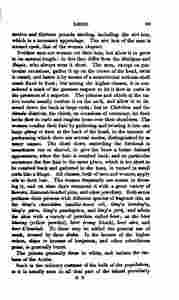 The_history_of_Java-153