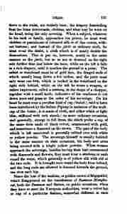 The_history_of_Java-155