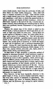 The_history_of_Java-183