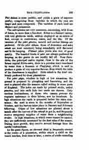 The_history_of_Java-187