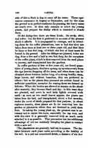 The_history_of_Java-194