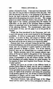 The_history_of_Java-204