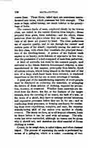 The_history_of_Java-240