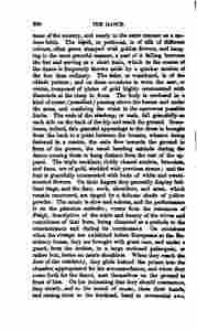 The_history_of_Java-436