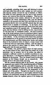 The_history_of_Java-437