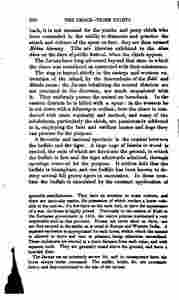 The_history_of_Java-442