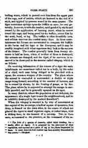 The_history_of_Java-443