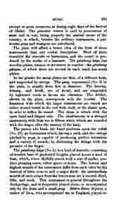 The_history_of_Java-581